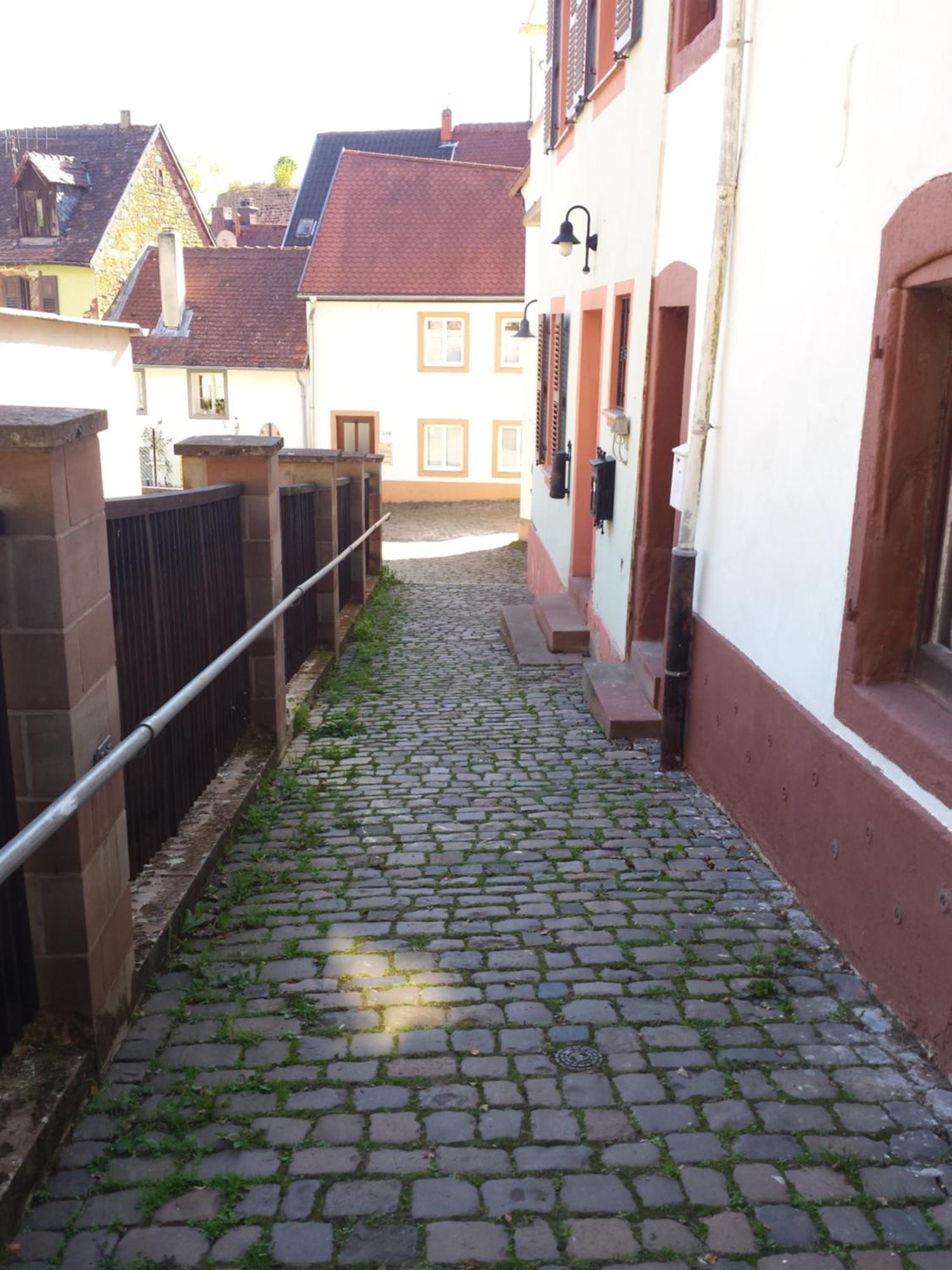 Moderne Wohnung In Barockem Altstadthaus Nahe Altstadt Und Radweg Blieskastel Exterior foto